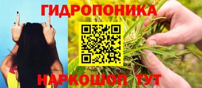 молекула духа Коммунар