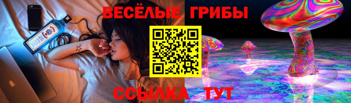 Шелехов  Галлюциногенные грибы GOLDEN TEACHER  Вход с VPN  Галлюциногенные грибы мицелий 